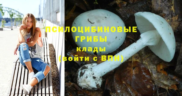 дмт Армянск